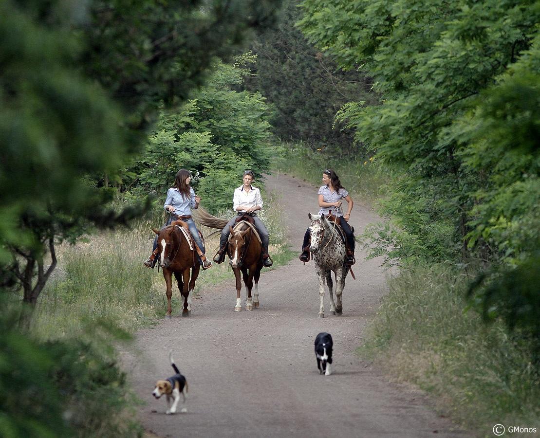 El Bronco Working Ranch Izsák Extérieur photo